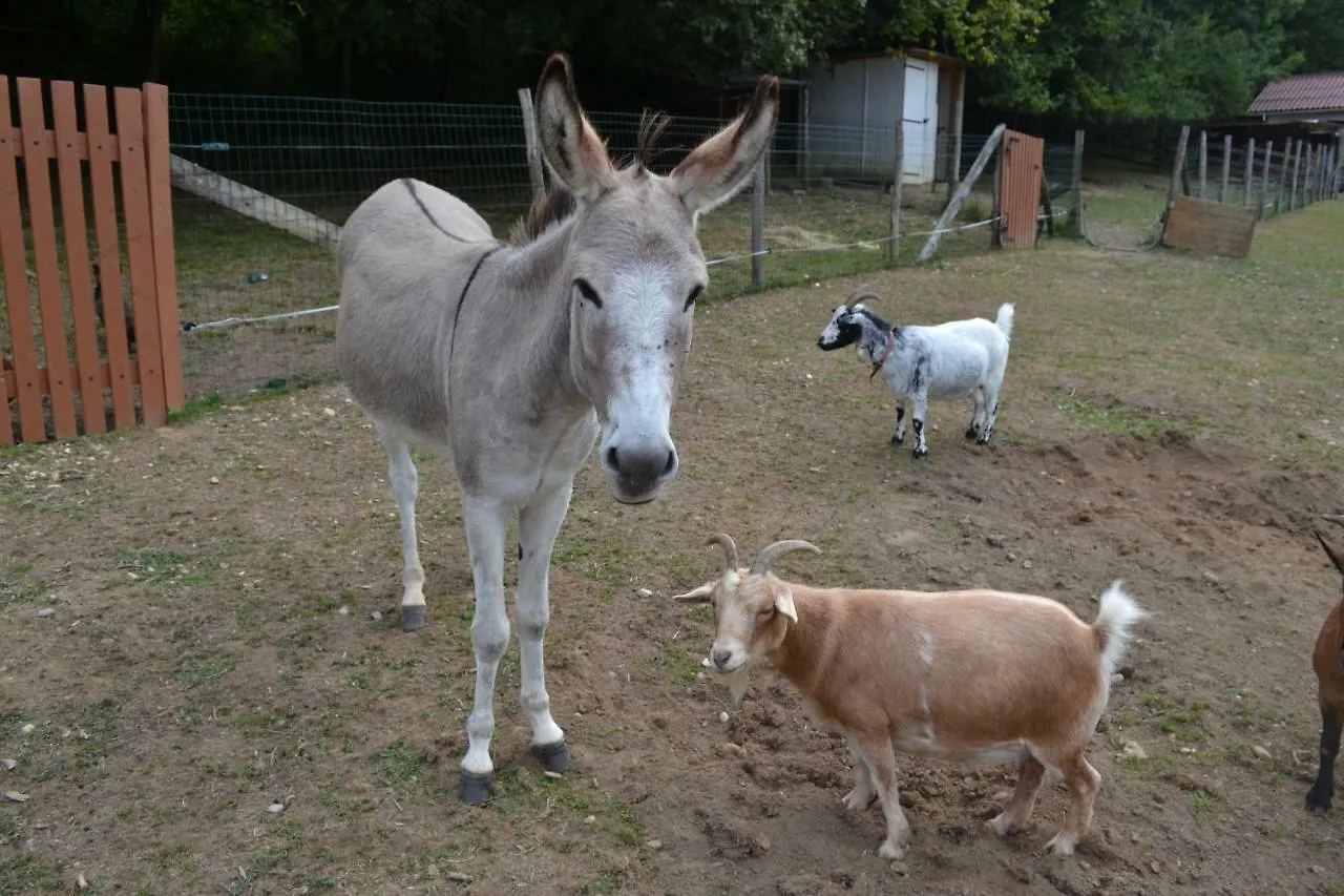 Le Paradis Des Animaux Coublevie 招待所